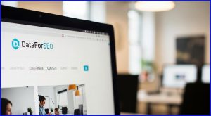 website-dataforseo-giai-phap-du-lieu