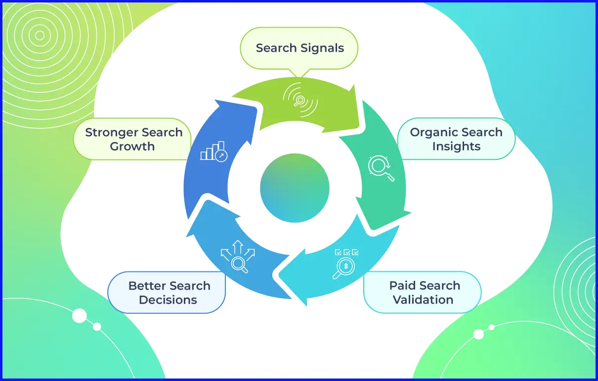 Search Growth Loop kết nối SEO và PPC trong vòng lặp học hỏi liên tục